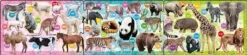 Apollo-sha 24-165 Jigsaw Puzzle Zoo Animals Panorama Puzzle (8+12+16 Pieces)