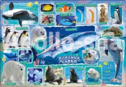 Apollo-sha 25-137 Jigsaw Puzzle Sea Animals At The Aquarium (35 Pieces) Child Puzzle