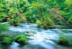 Apollo-sha Jigsaw Puzzle 48-645 Japanese Scenery Azalea And River (300 Pieces)