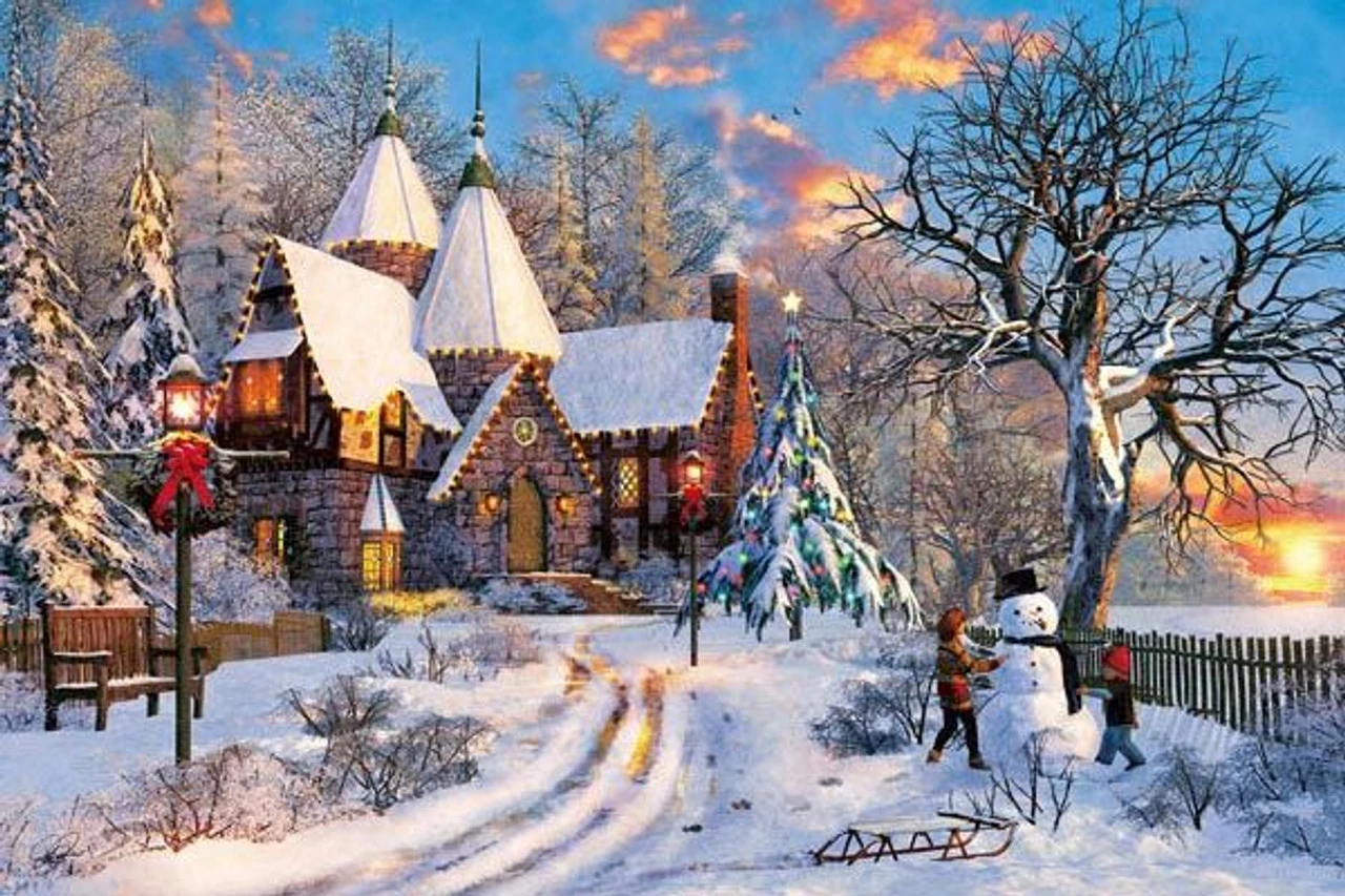 Appleone 1000-790 Jigsaw Puzzle Dominic Davison Illustration Mary Winter (1000 Pieces)