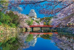 APPLEONE Jigsaw Puzzle 1000-833 Himeji Castle Cherry Blossom Hyogo Japan (1000 Pieces)