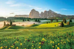 Appleone 1000-876 Jigsaw Puzzle Plateau Morning Dolomites (1000 Pieces)