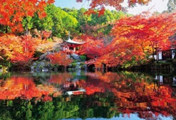 Beverly Jigsaw Puzzle 33-158 Autumn Leaves Daigoji Temple Kyoto Japan (300 Pieces)