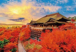 Beverly Jigsaw Puzzle 51-245 Autumn Leaves Kiyomizu-dera Temple Kyoto Japan (1000 Pieces)