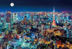 Beverly Jigsaw Puzzle 51-253 Japan Tokyo Night View (1000 Pieces)