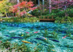Beverly 66-218 Jigsaw Puzzle Monet's Pond With Colorful Koi Fish (600 Pieces)