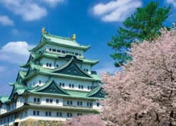 Yanoman Jigsaw Puzzle 05-1004 Nagoya Castle Cherry Blossom Aichi Japan (500 Pieces)