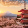 Yanoman 13-05 Jigsaw Puzzle Mt. Fuji Overlooking Cherry Blossoms In Yamanashi Japan (1000 S-Pieces)