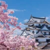 Yanoman 01-2087 Jigsaw Puzzle National Treasure Hikone Castle And Sakuragi Shiga Japan (108 L-Pieces)